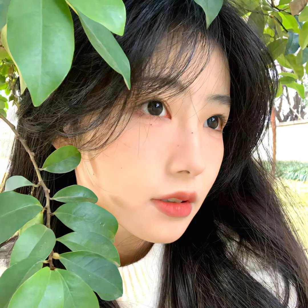 疯马歌舞秀